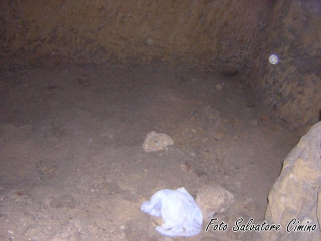 Madrice e dintorni (115) (Copia)